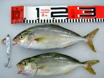 御前崎サーフにて