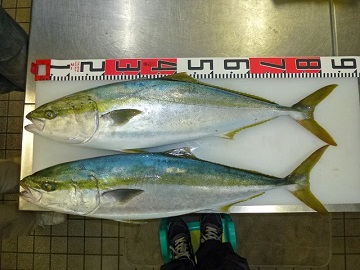 御前崎サーフにて