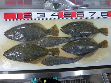 浜岡サーフにて