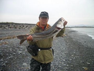 大井川河口にて