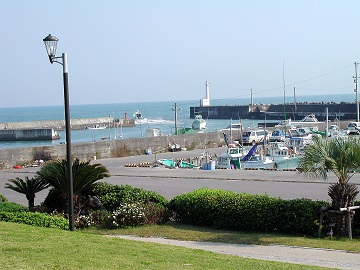 相良港釣り情報